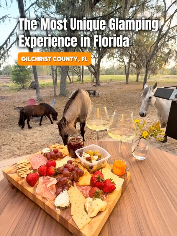 Instagram reel of our visit to Hodges Hidden Highlands Farm