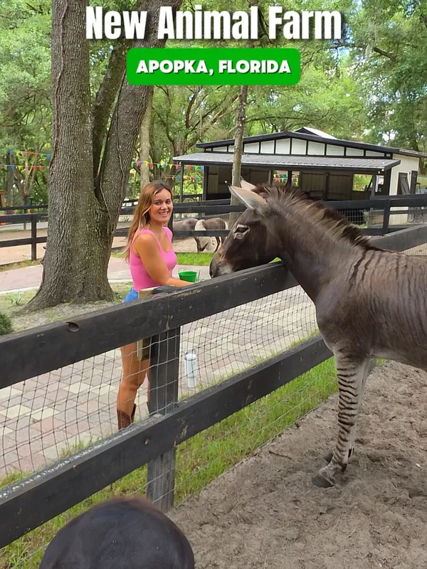 Instagram reel of Terra Verde Farm in Apopka