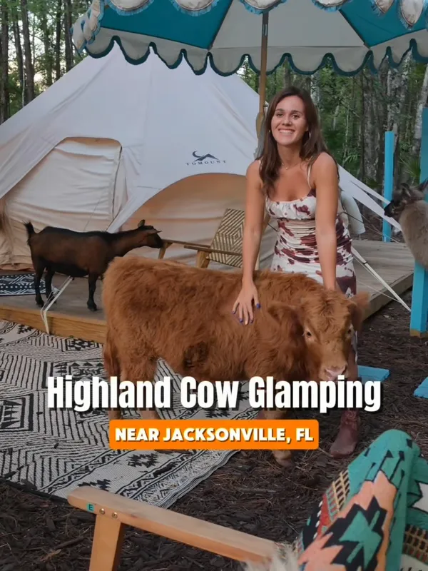 Instagram reel of our visit to Adama Acres Ranch